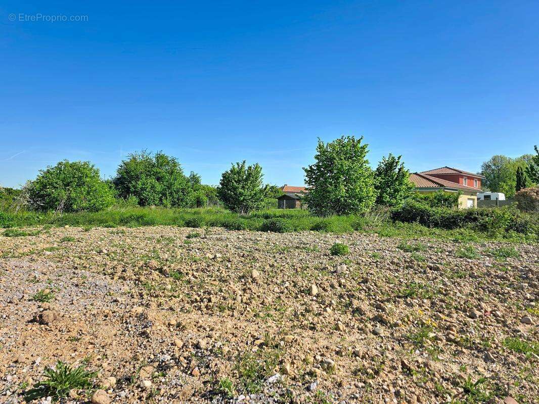 Terrain - Viabilisé - 700m² - photo 7
