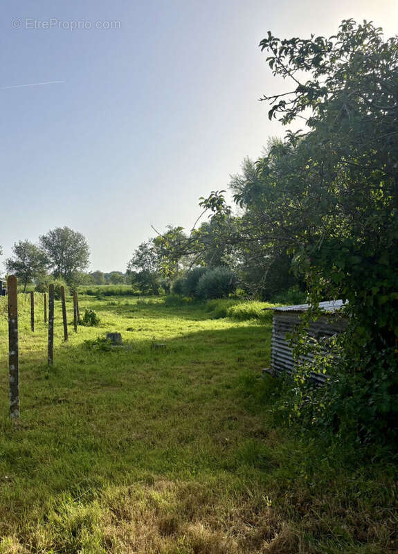 Terrain Saint Joachim - photo 2