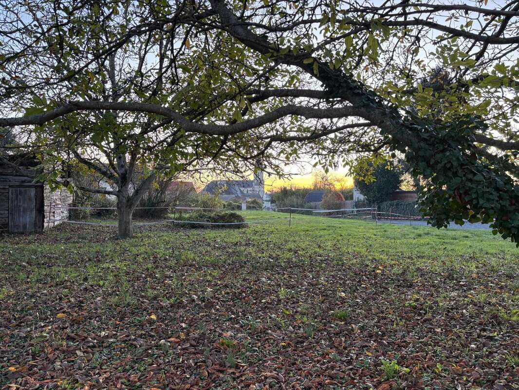 Photo 5 - Terrain à BRISSAC-QUINCE