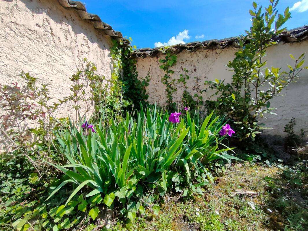 Maison à MIRIBEL