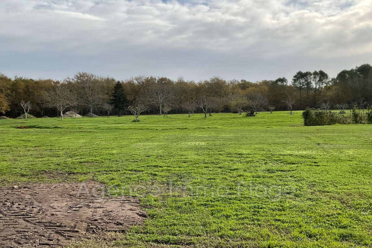 Terrain à GRAYAN-ET-L&#039;HOPITAL