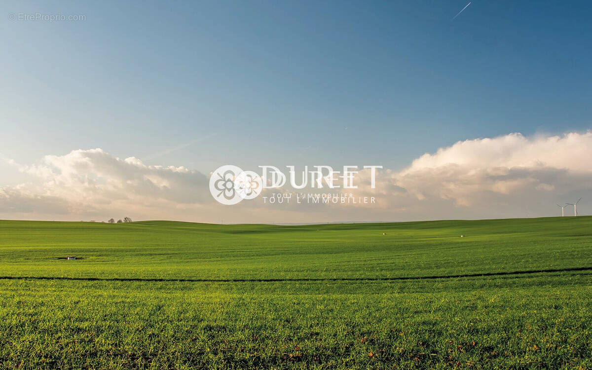 Commerce à MONTAIGU