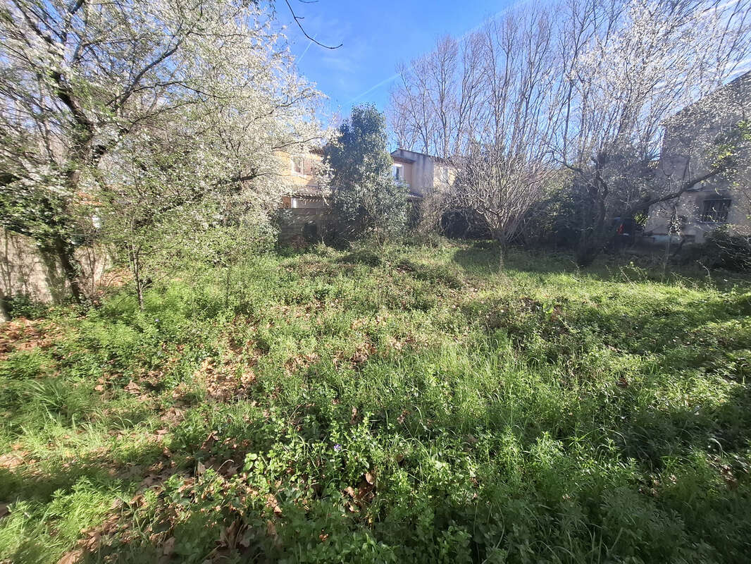 Terrain à SAINT-MARTIN-DE-CRAU