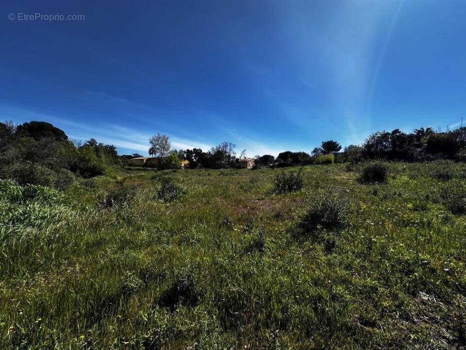 Terrain à ROQUEBRUNE-SUR-ARGENS