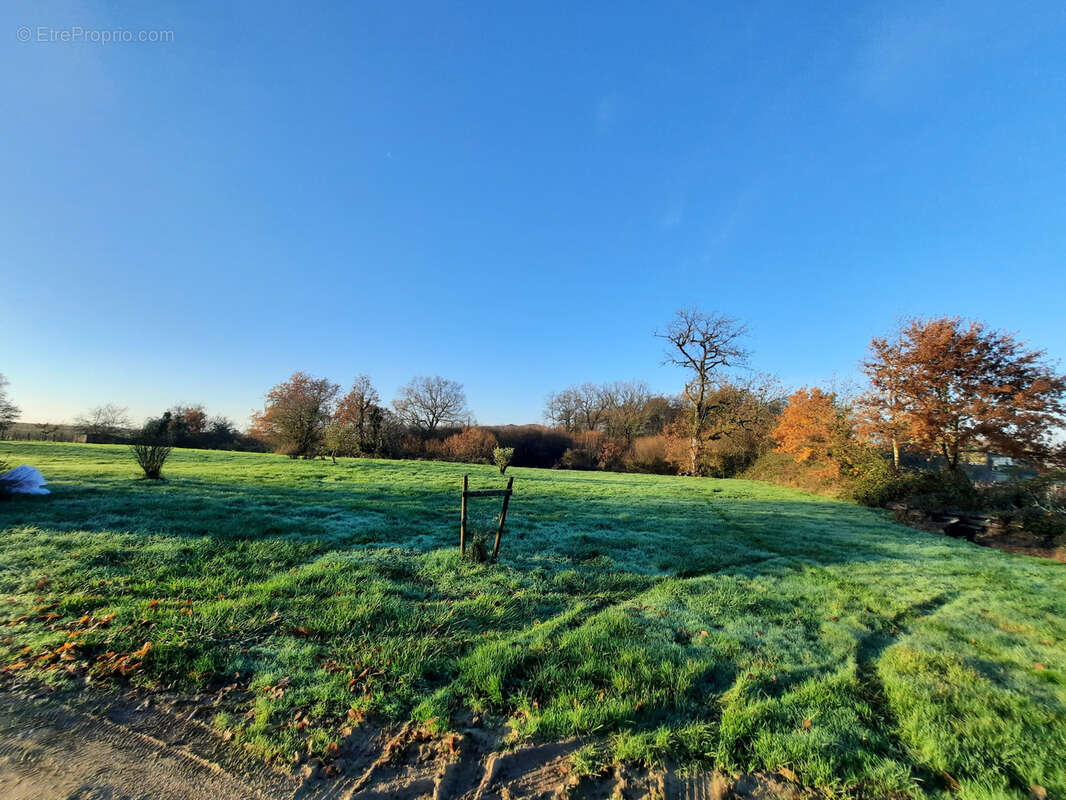 Maison à SAUVETERRE-DE-GUYENNE