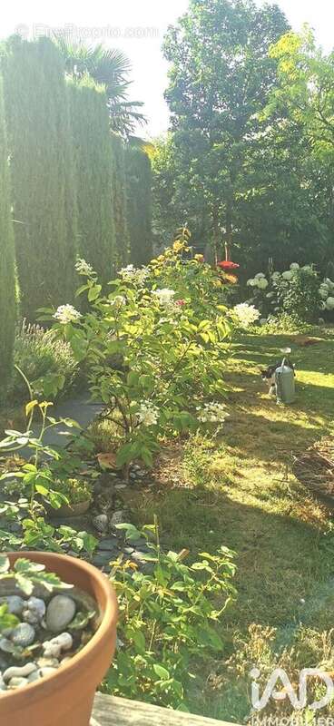 Photo 6 - Maison à REIMS