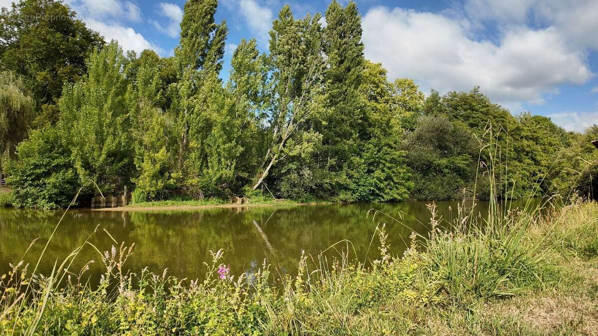 Propriété agricole de caractère avec moulin, terres et bâtiments à 40 minutes de Hossegor - photo 3