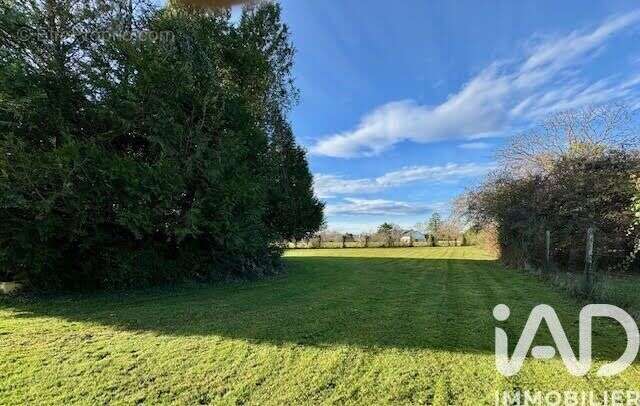 Photo 9 - Maison à ASSON