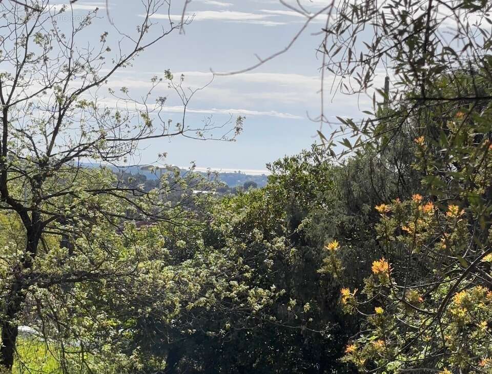 Terrain à LA GAUDE