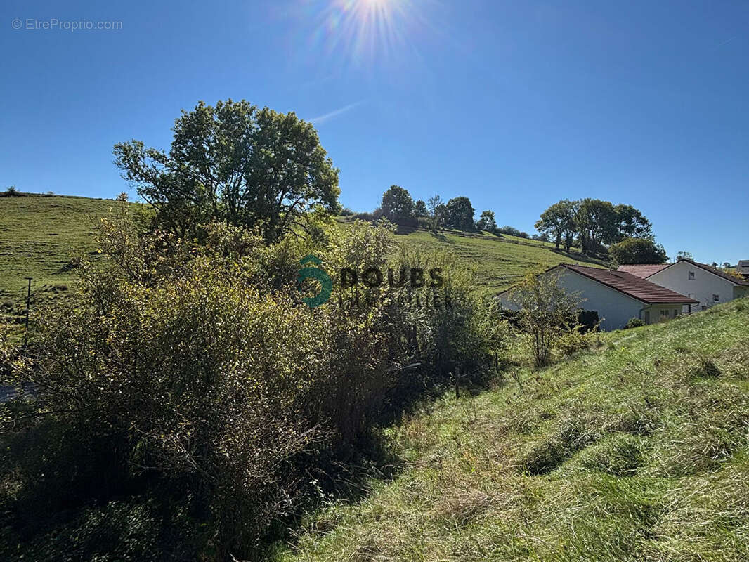 Terrain à GUYANS-VENNES