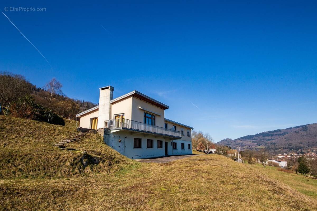 RUPT SUR MOSELLE (88)A vendre propriété T 10 pièces de 195m² sur sous sol + 4 box à chevaux +rucher, terrain 3.6 hectares - photo 1