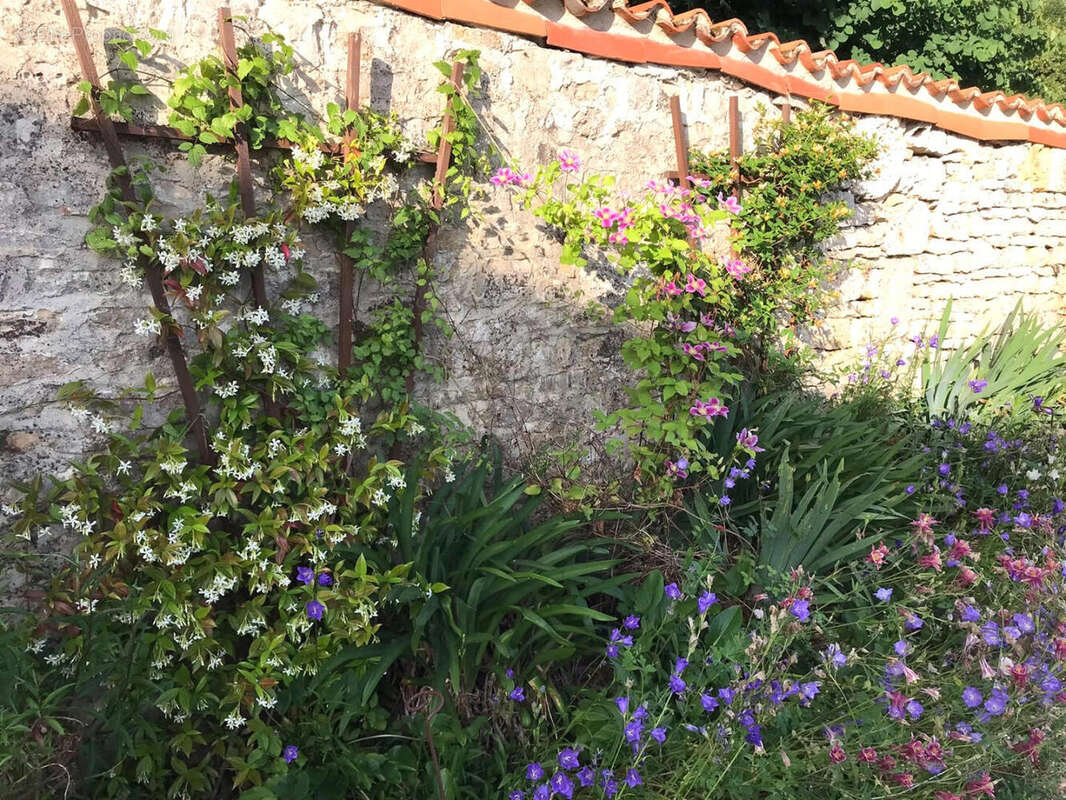 Près de Verteuil-sur Charente, Charmante Maison de Village Indépendante en Pierre, Vue, Superbes Jardins Champêtres - photo 5