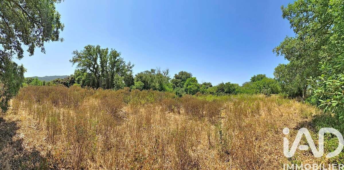 Photo 3 - Terrain à FIGARI