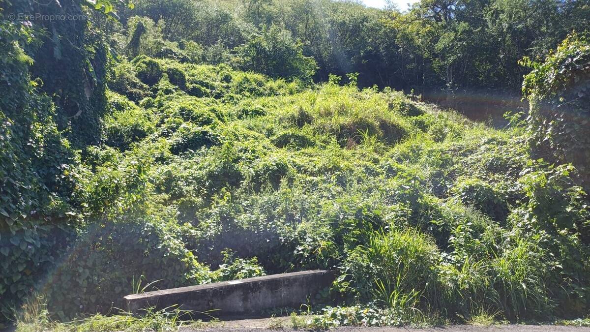 Terrain à BELLEFONTAINE