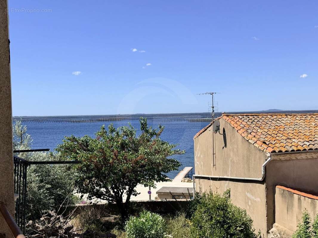 A Bouzigues, il n'y a pas que les huîtres. - photo 8