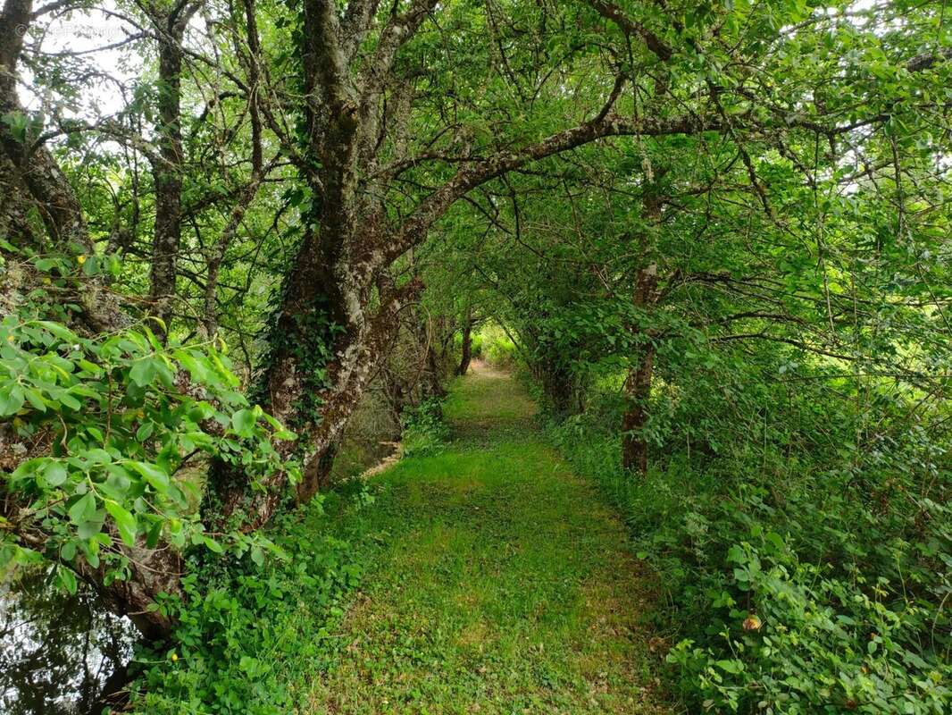 Terrain à ORADOUR-SUR-VAYRES