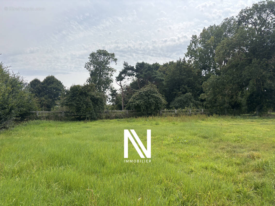 Terrain à COLOMBIERS-SUR-SEULLES