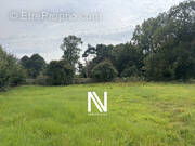 Terrain à COLOMBIERS-SUR-SEULLES