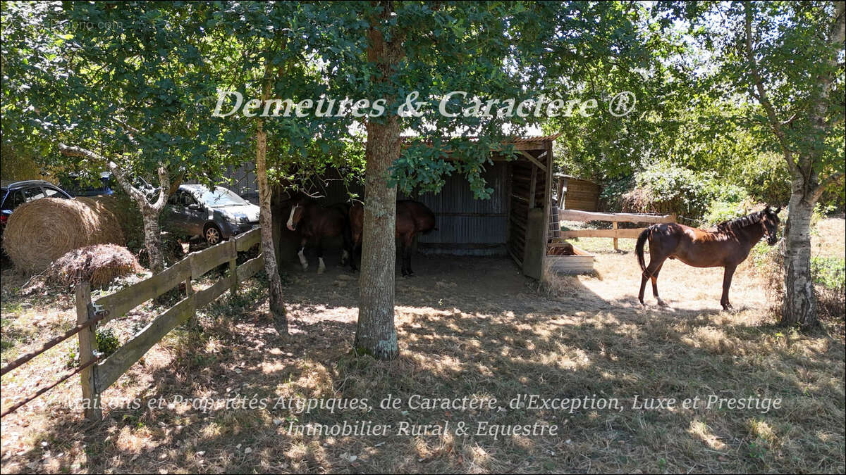 Maison avec piscine et dépendances - photo 41
