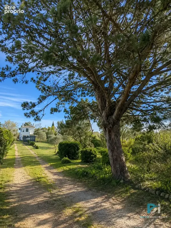  coup de cœur   magnifique villa à vias avec plus de 2 000 m2 de terrain ! 4 chambres - photo 3