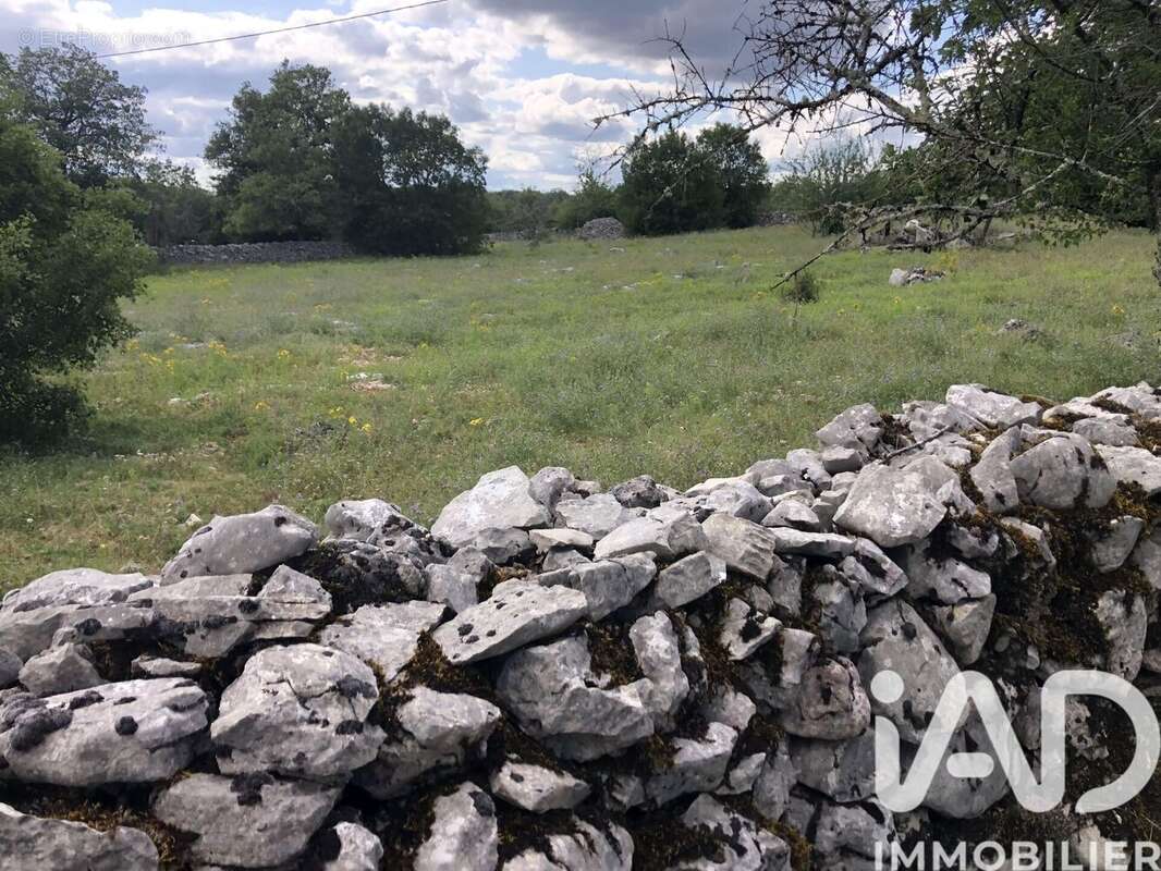 Photo 2 - Terrain à CORN