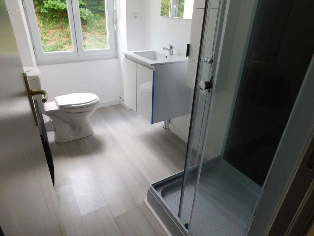 SPEZET, maison spacieuse. - photo 7