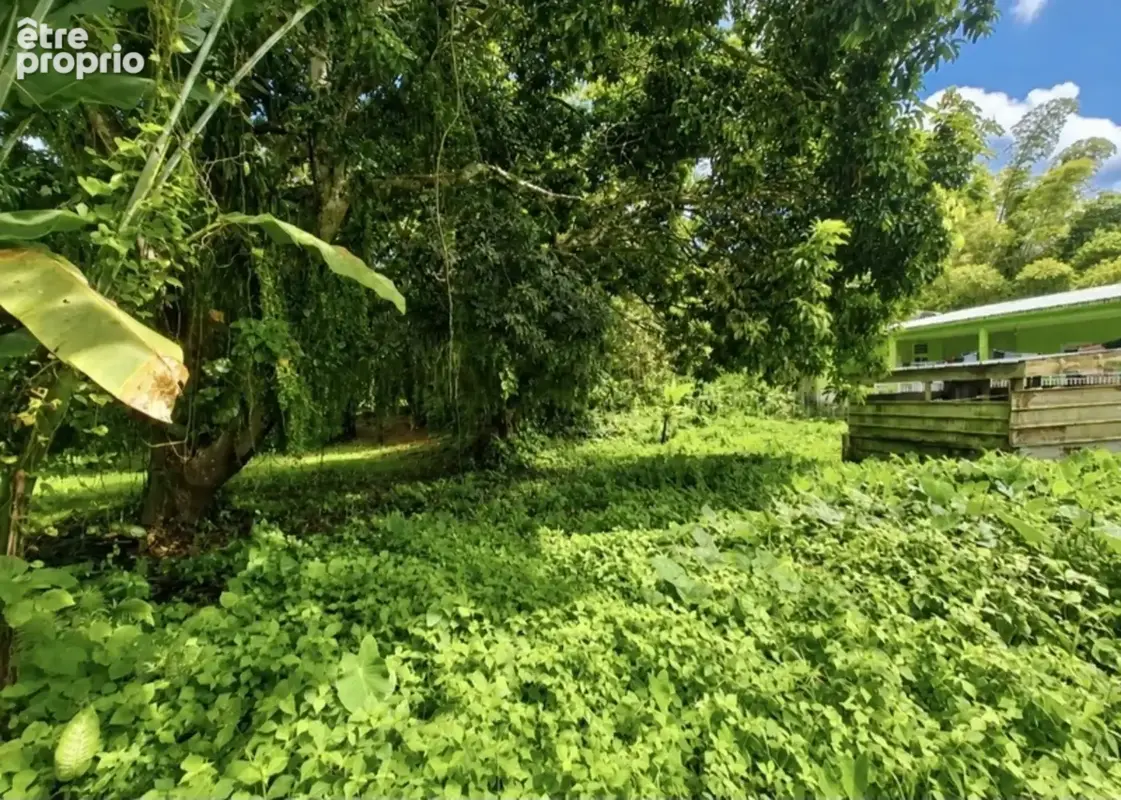 A vendre - Terrain plat de 729 m² – Ajoupa-Bouillon – Secteur Adinet - photo 3