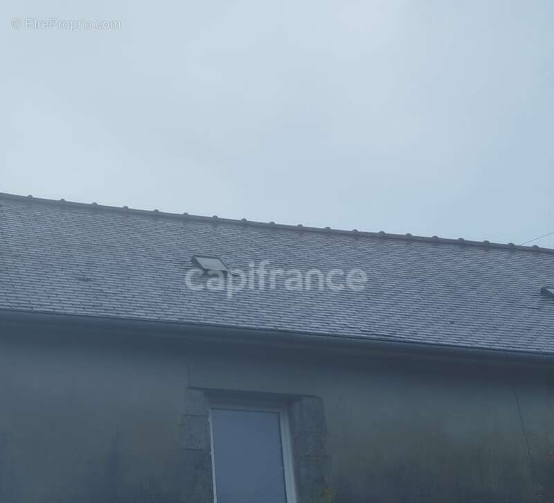 Maison à vendre corps de ferme +longère de 333 m2 au total avec vie de plain pied possible, parcelle de 1110m2, entre Rostrenen  - photo 16