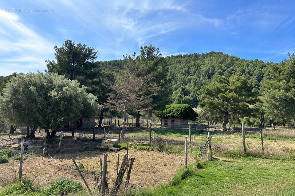 Terrain 1504 m² à Cuges-Les-Pins  - photo 1