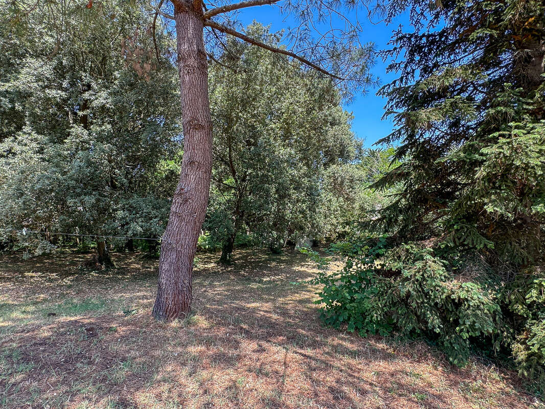 Terrain 1500 m² à Saint-Palais-Sur-Mer  - photo 4