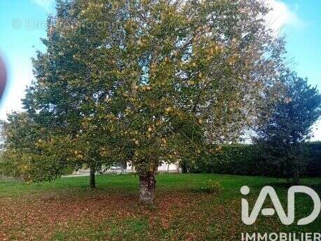 Photo 3 - Terrain à PRUNET