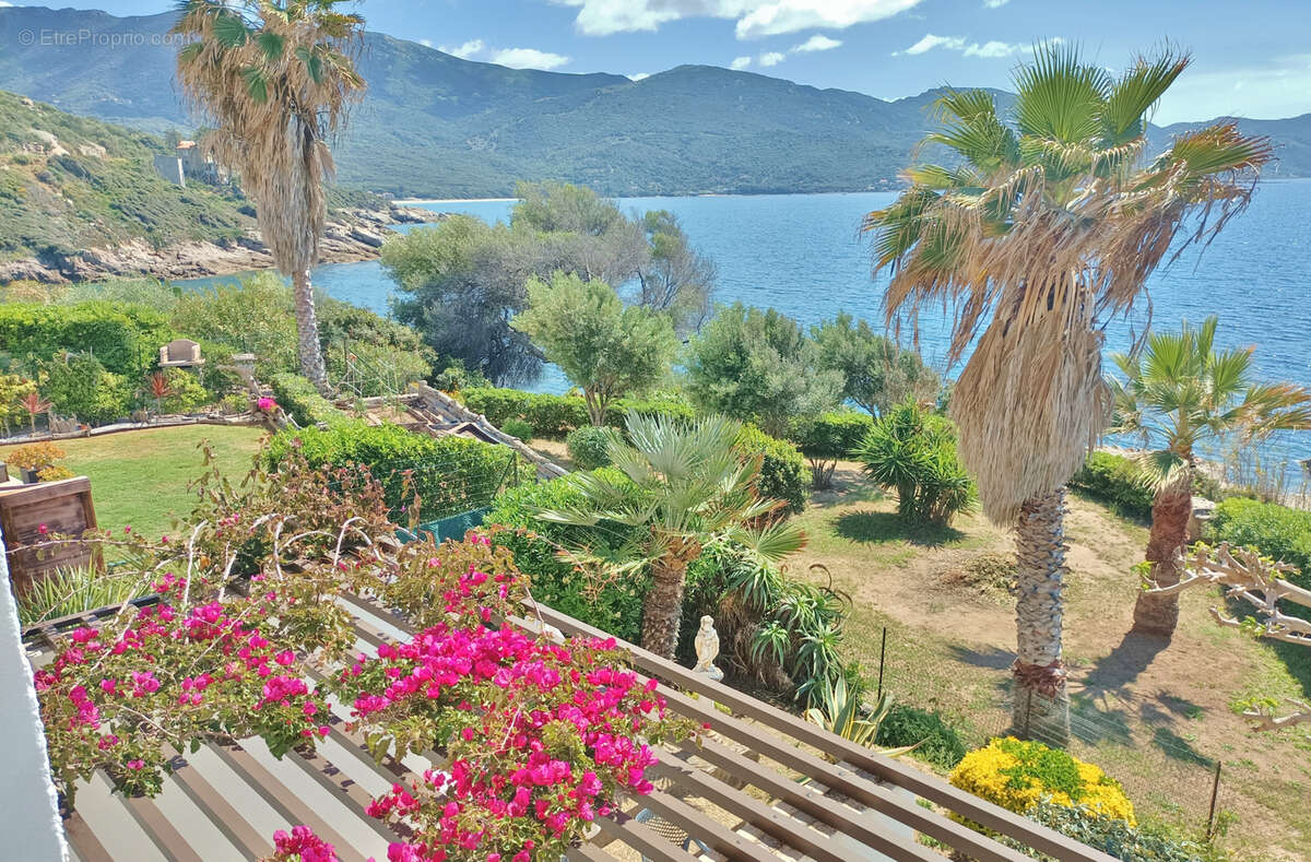 30 minutes d'AJACCIO - Immeuble de 6 appartements pieds dans l'eau - photo 29