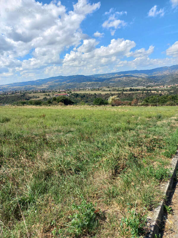 Terrain à CHATEAUNEUF
