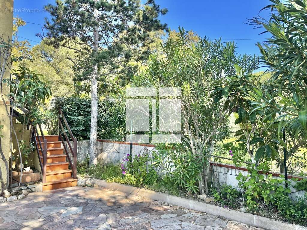 Appartement à SARI-SOLENZARA