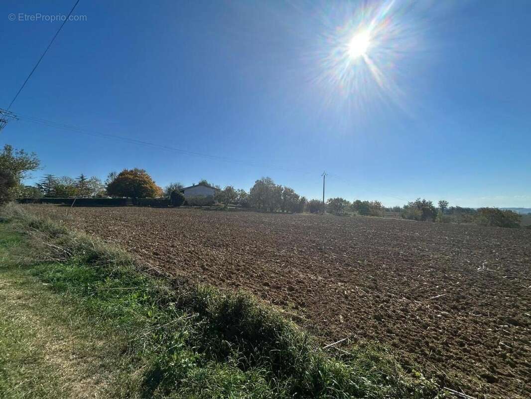 Photo 2 - Terrain à SAINT-LEON