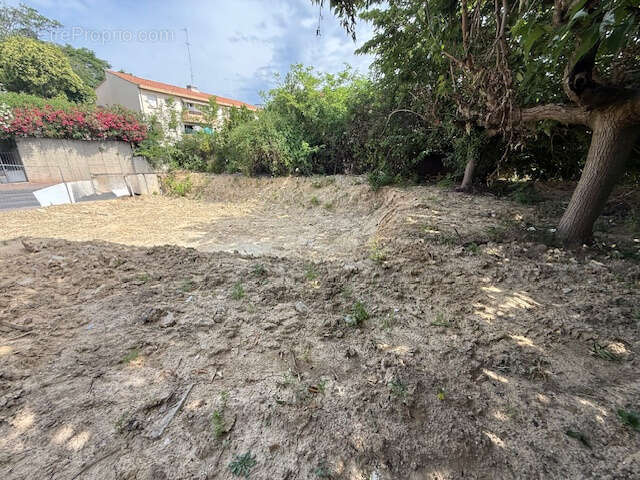 Terrain à MONTPELLIER