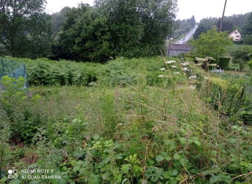 // A SAISIR // Terrain constructible et viabilisé Les Monts d'Andaine 860 m2 - photo 3