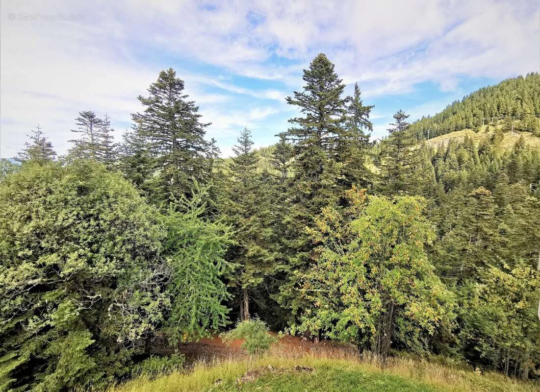 Appartement à LA BOLLENE-VESUBIE