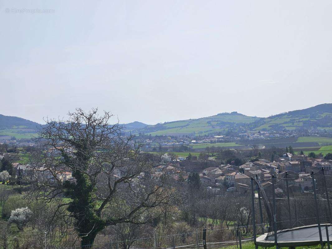 Terrain à vendre de 3 479,00 m² SAINT MAURICE (63) - photo 5