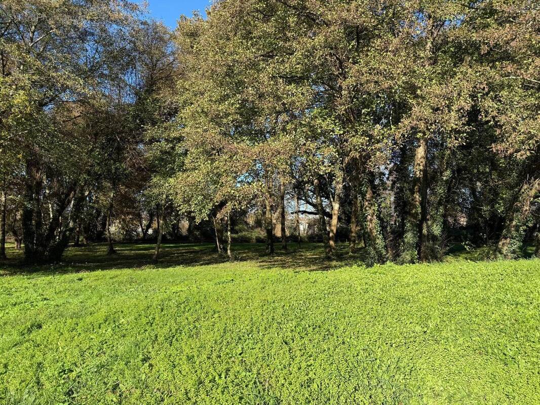 Photo 1 - Terrain à AUDENGE