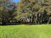 Photo 1 - Terrain à AUDENGE