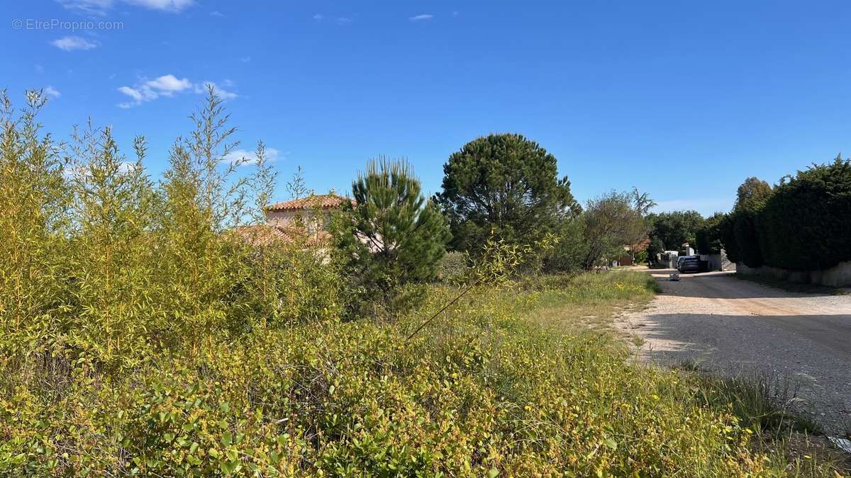 Ensemble Parcellaire de 4.472 m2 (constructible et divisible)  - photo 3
