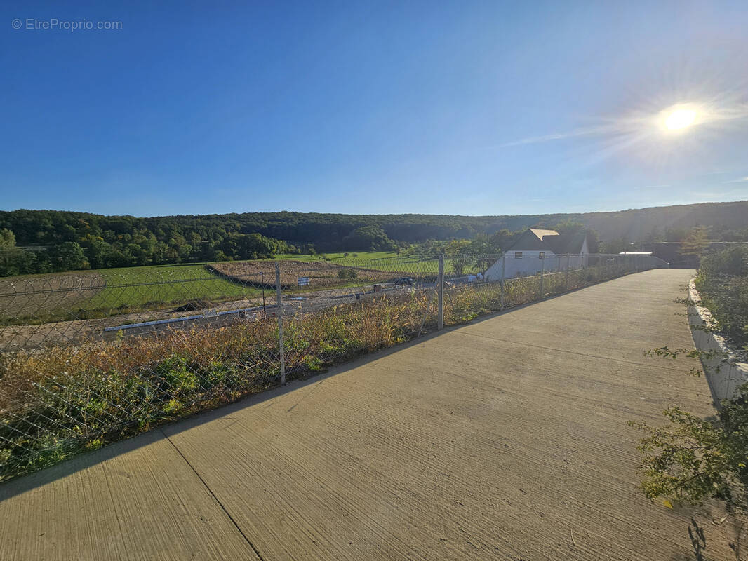 Terrain à ROSENWILLER