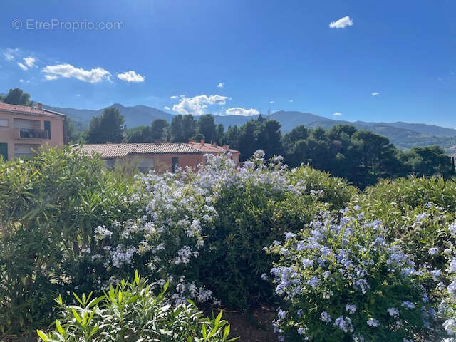 Appartement à COLLIOURE