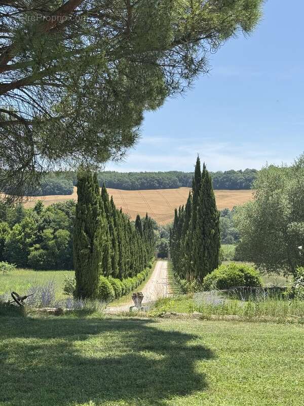 Maison à CASTERA-VERDUZAN
