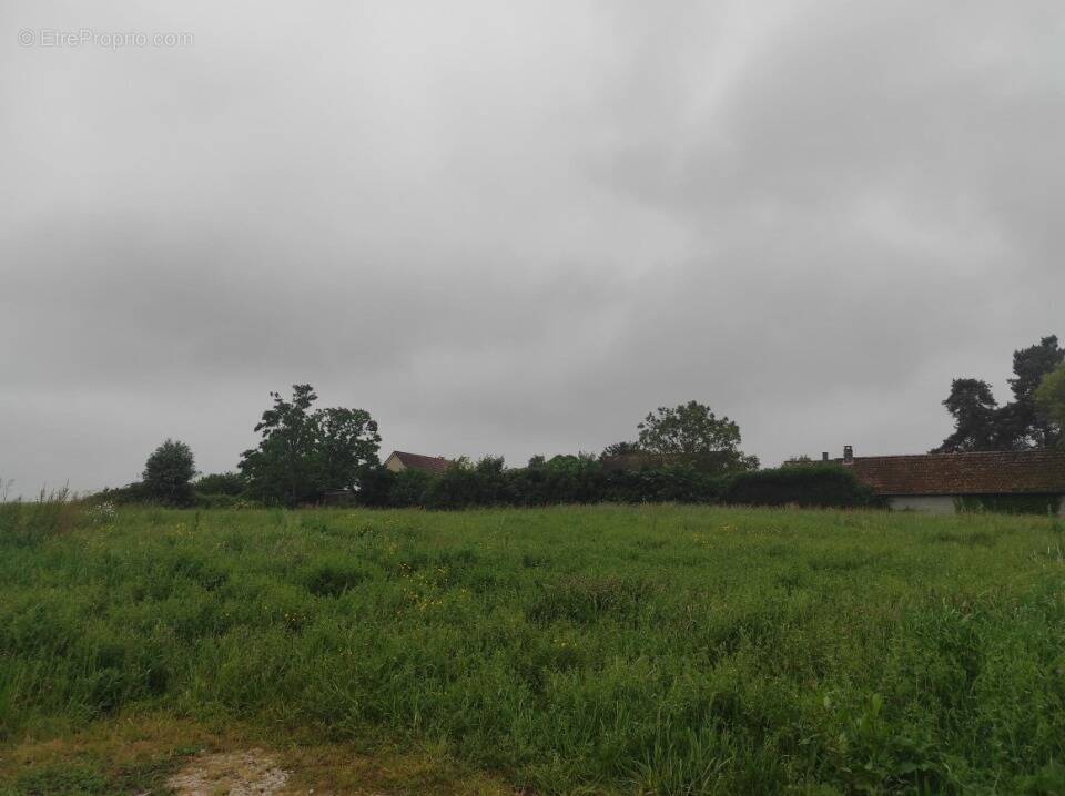 Terrain à VIEUX-VILLEZ