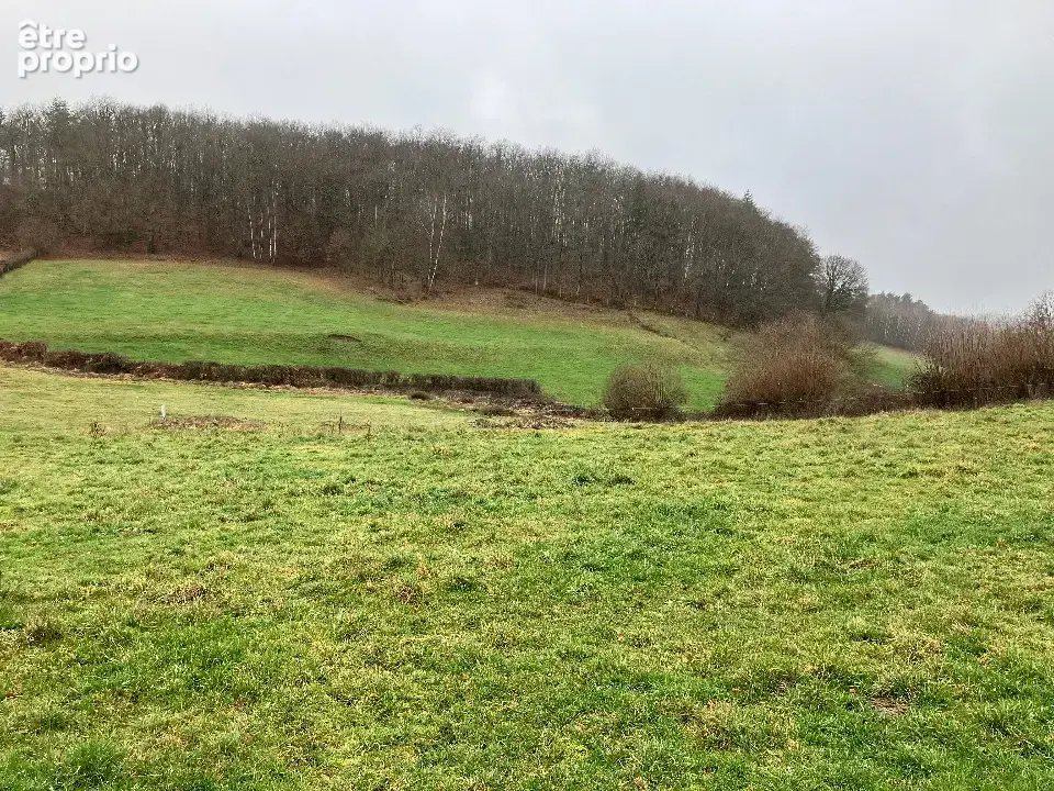 Terrain 1 683 m² à vendre à Lacapelle-Viescamp (15150) - photo 2