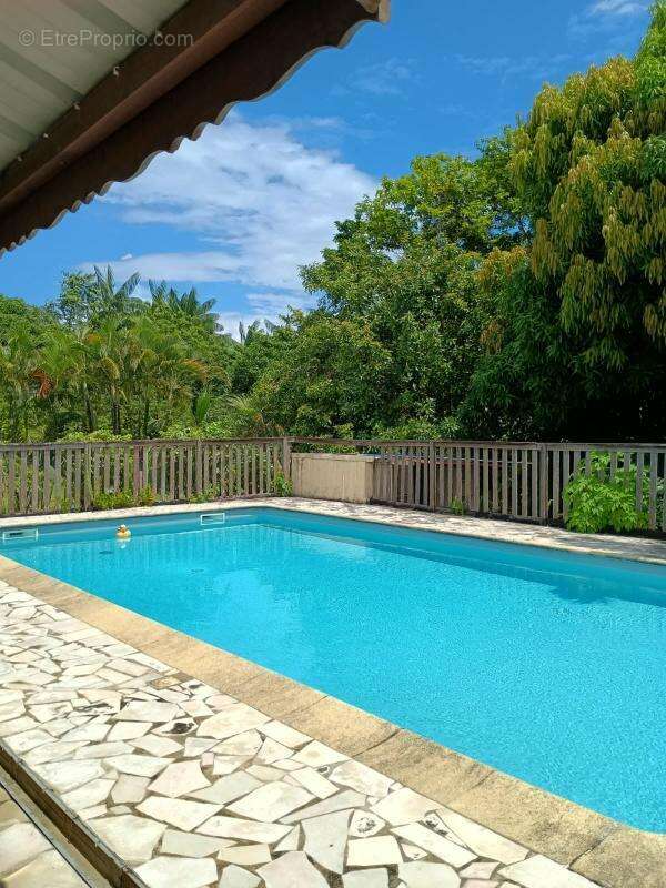 Bel ti coté avec Grande Piscine à Soula 1 - photo 12