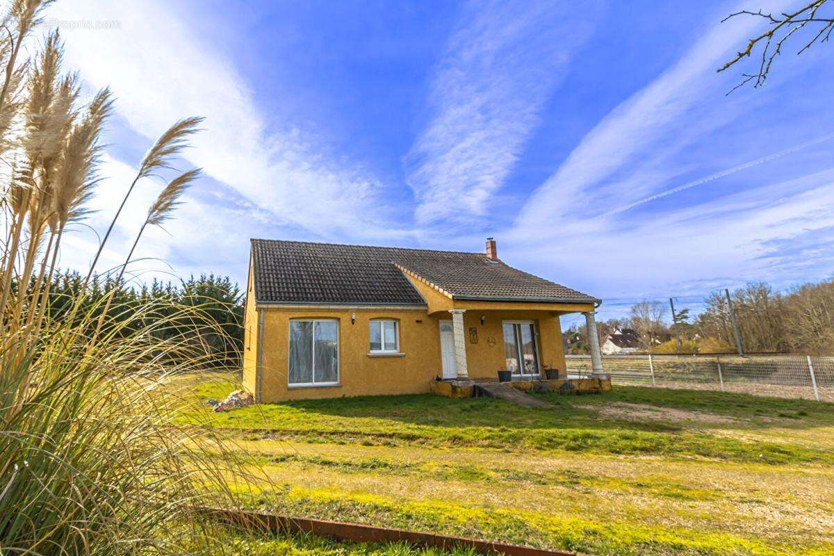 Maison à SELLES-SUR-CHER