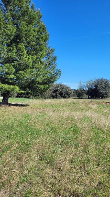 Autre à SERIGNAN-DU-COMTAT